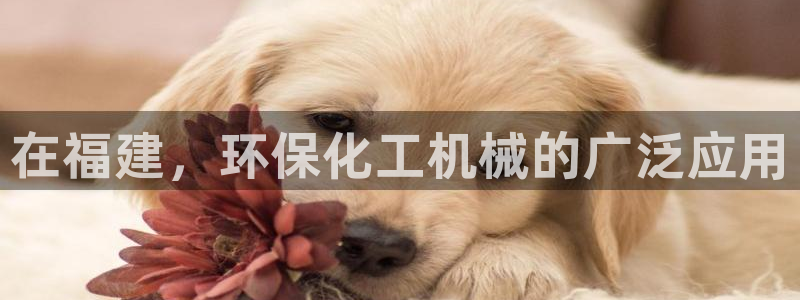 亿万剧情详解：在福建，环保化工机械的广泛应用