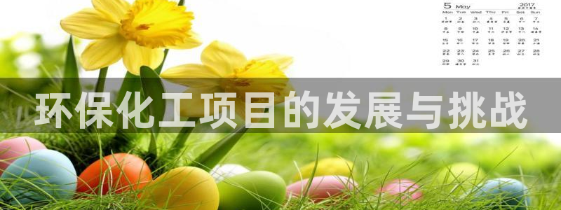 亿万先生首页：环保化工项目的发展与挑战