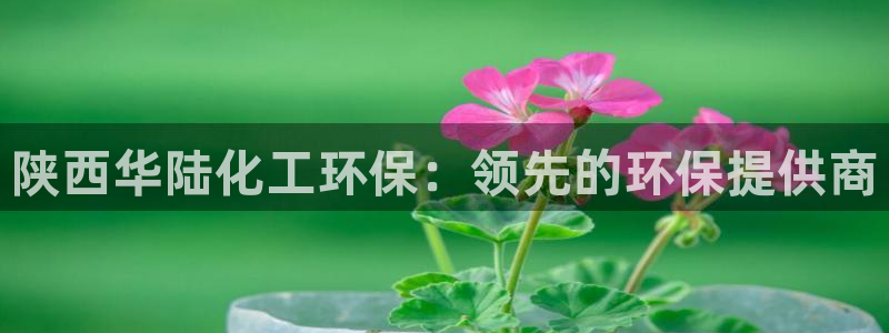 亿万网友在线解答：陕西华陆化工环保：领先的环保提供商