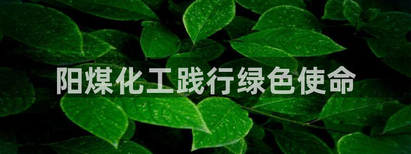 亿万网络：阳煤化工践行绿色使命