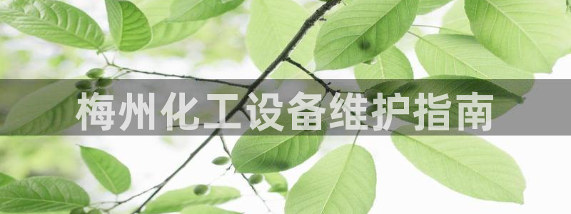 亿万先生手机网页：梅州化工设备维护指南