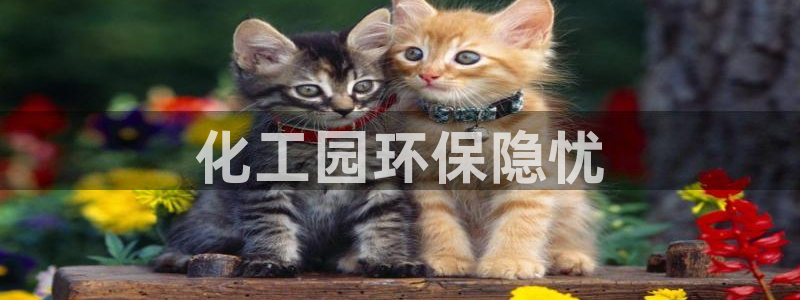 亿万下载徐家汇朋友圈说说：化工园环保隐忧