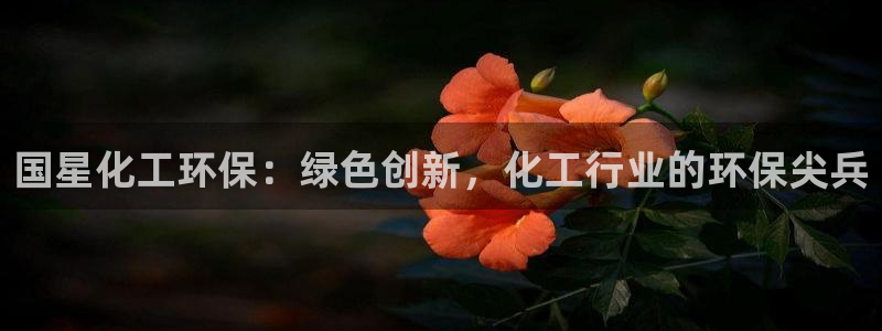 亿万财富网：国星化工环保：绿色创新，化工行业的环保尖兵