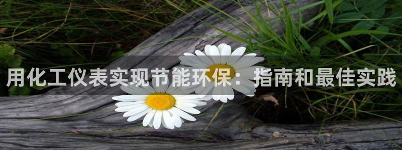 亿万小说免费阅读全文：用化工仪表实现节能环保：指南和最佳实践