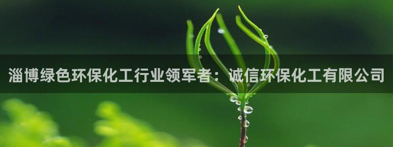 亿万国际平台是正规的吗安全吗：淄博绿色环保化工行业领军者：诚信环保化工有限公司