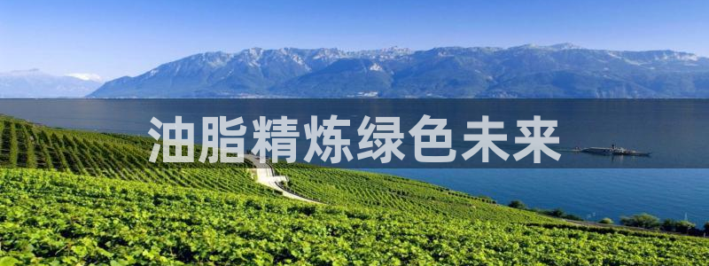 官方网站下载亿万人生：油脂精炼绿色未来