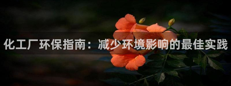 亿万剧情详解：化工厂环保指南：减少环境影响的最佳实践