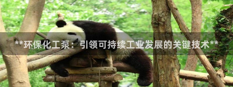 亿万手游平台官网入口：**环保化工泵：引领可持续工业发展的关键技术**