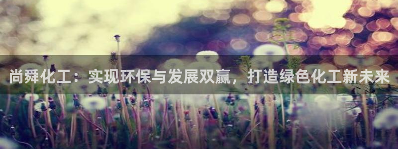 亿万先生app：尚舜化工：实现环保与发展双赢，打造绿色化工新未来