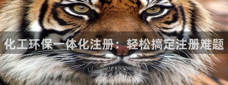 mr003亿万先生：化工环保一体化注册：轻松搞定注册难题