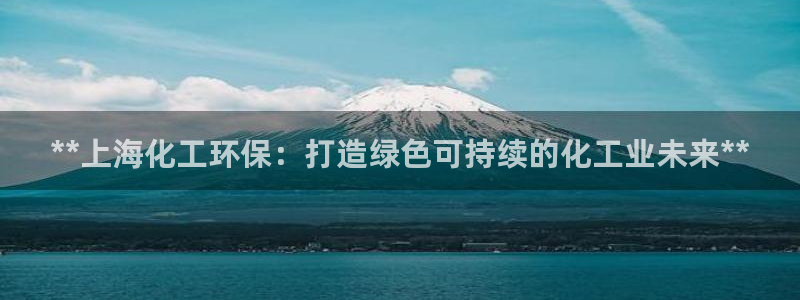 亿万先生首页：**上海化工环保：打造绿色可持续的化工业未来**
