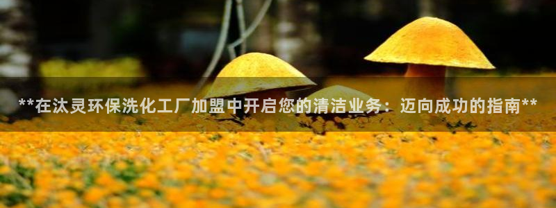 亿万讲什么：**在汰灵环保洗化工厂加盟中开启您的清洁业务：迈向成功的指南**