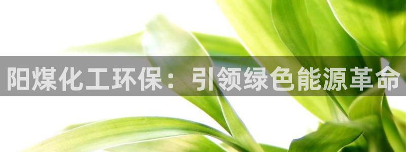 亿万先生首页：阳煤化工环保：引领绿色能源革命
