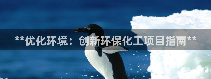 亿万先生官方网站下载：**优化环境：创新环保化工项目指南**