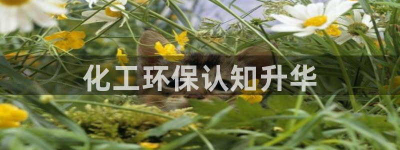 亿万先生官方网站下载手机版：化工环保认知升华
