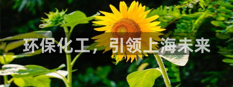 亿万网络科技有限公司ceo：环保化工，引领上海未来