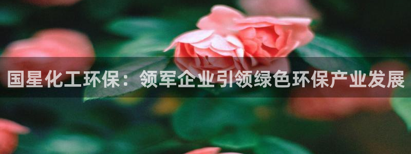 亿万先生客户端官网登录：国星化工环保：领军企业引领绿色环保产业发展