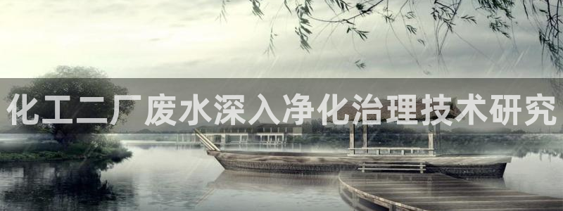 亿万 在线：化工二厂废水深入净化治理技术研究