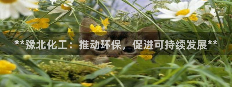 亿万官网字幕：**豫北化工：推动环保，促进可持续发展**