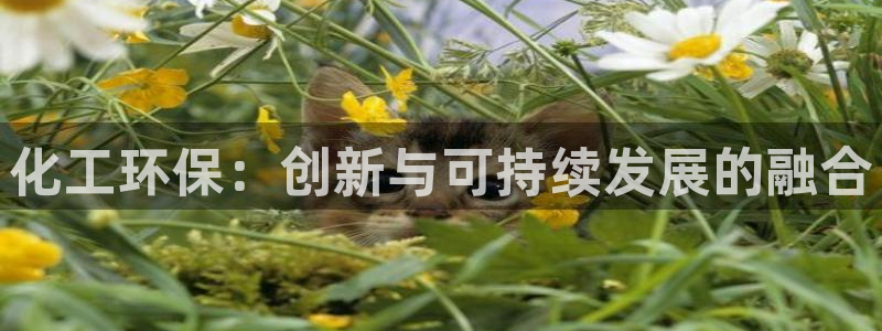 亿万第一集：化工环保：创新与可持续发展的融合