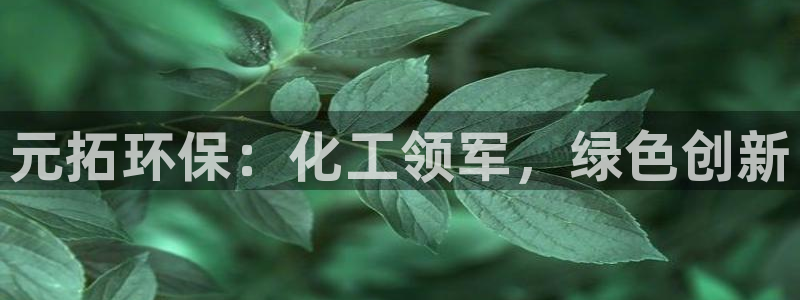 亿万乐购生活超市：元拓环保：化工领军，绿色创新