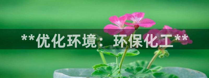 亿万第一季字幕：**优化环境：环保化工**
