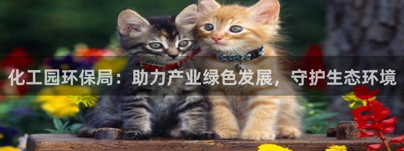 亿万网络：化工园环保局：助力产业绿色发展，守护生态环境