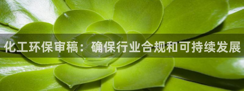 亿万先生换网址了吗知乎：化工环保审稿：确保行业合规和可持续发展