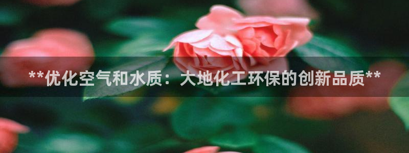 亿万先生是男是女：**优化空气和水质：大地化工环保的创新品质**