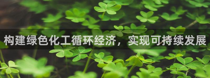 亿万先生手机版入口在哪下载：构建绿色化工循环经济，实现可持续发展