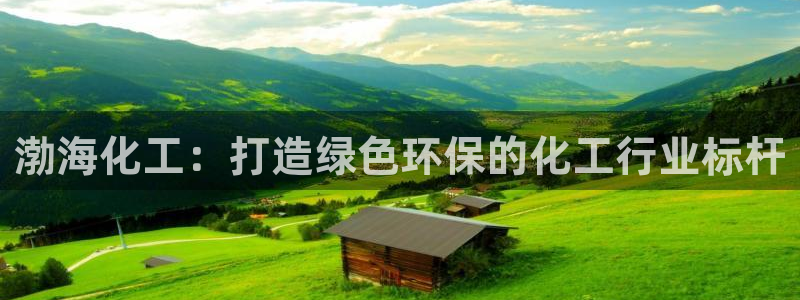 亿万先生mr07：渤海化工：打造绿色环保的化工行业标杆