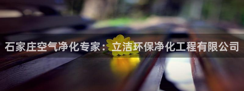 亿万先生客户端官网首页：石家庄空气净化专家：立洁环保净化工程有限公司