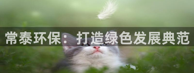 亿万网友在线实时为您解答问题：常泰环保：打造绿色发展典范