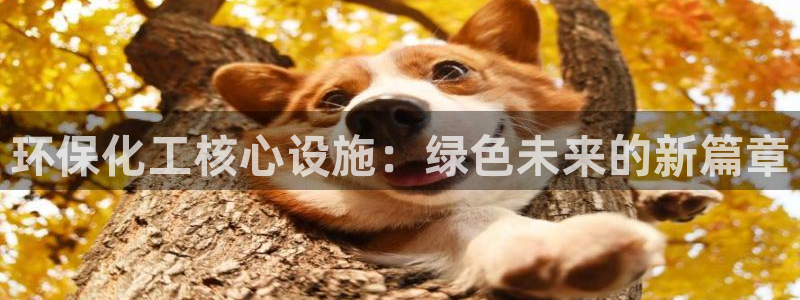 亿万财富网：环保化工核心设施：绿色未来的新篇章
