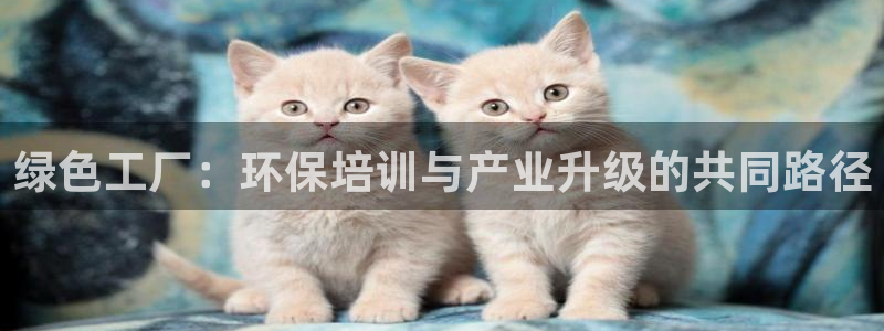 亿万先生官方网站首页：绿色工厂：环保培训与产业升级的共同路径