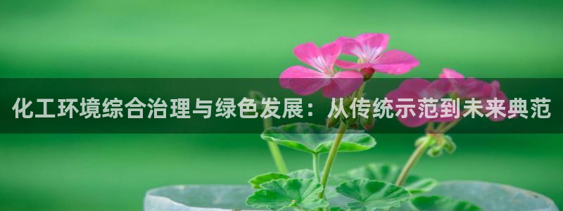 亿万先生官方网站下载：化工环境综合治理与绿色发展：从传统示范到未来典范