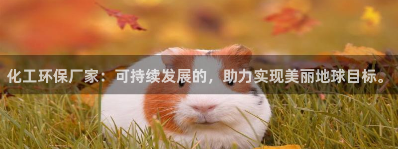 亿万先生网页版登录：化工环保厂家：可持续发展的，助力实现美丽地球目标。
