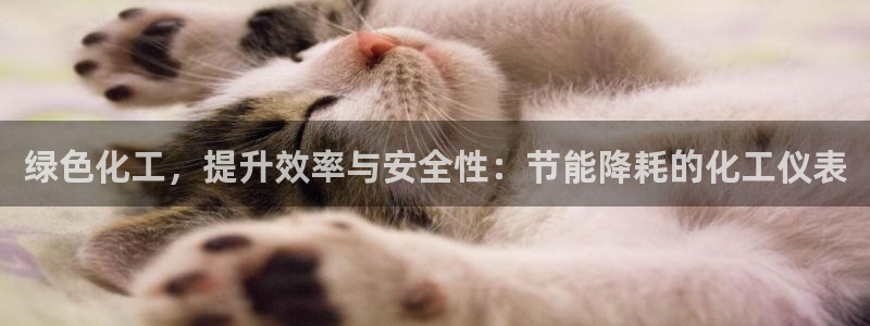 亿万先生网红：绿色化工，提升效率与安全性：节能降耗的化工仪表