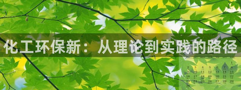 亿万先生 手机版下载安装：化工环保新：从理论到实践的路径