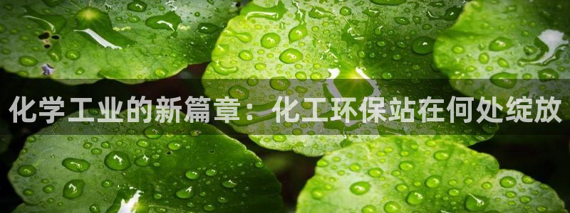 亿万先生网页在线客服：化学工业的新篇章：化工环保站在何处绽放