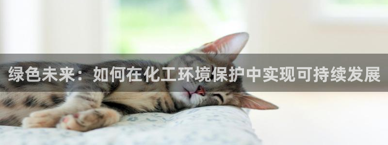 亿万先生合并网址是多少：绿色未来：如何在化工环境保护中实现可持续发展