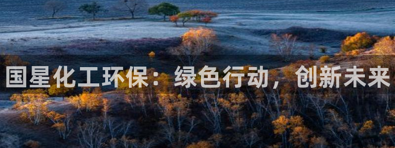 亿万先生现在的网址谁知道是真的：国星化工环保：绿色行动，创新未来