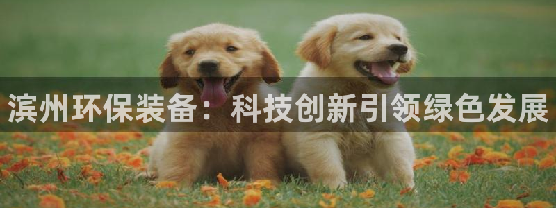亿万先生mr网址：滨州环保装备：科技创新引领绿色发展