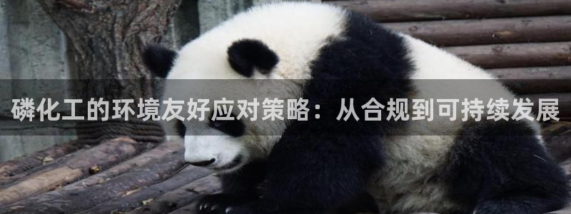 亿万先生客服联系电话：磷化工的环境友好应对策略：从合规到可持续发展