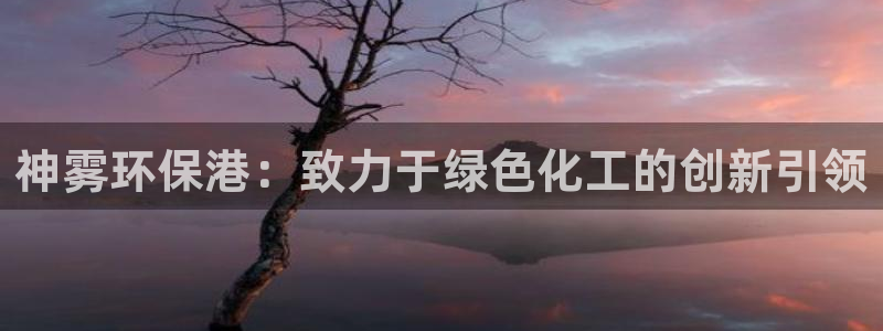亿万第一季字幕：神雾环保港：致力于绿色化工的创新引领