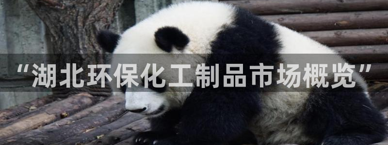 亿万网红：“湖北环保化工制品市场概览”