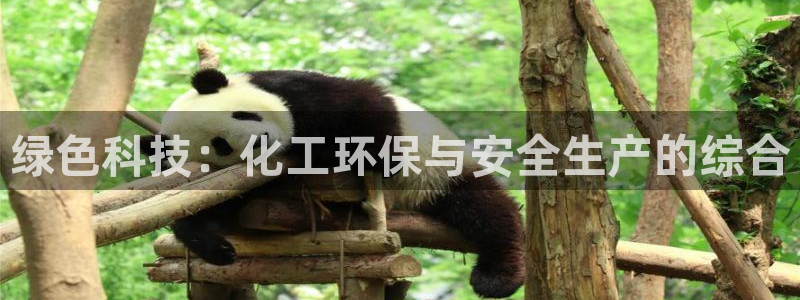 亿万先生手机网页：绿色科技：化工环保与安全生产的综合