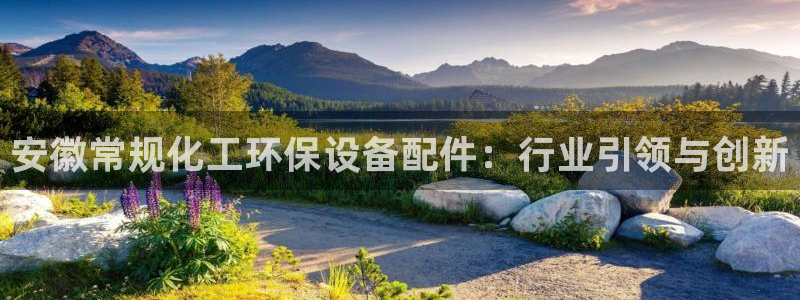 亿万剧情详解：安徽常规化工环保设备配件：行业引领与创新