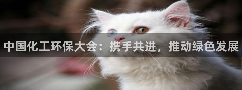 亿万先生官方网站首页：中国化工环保大会：携手共进，推动绿色发展
