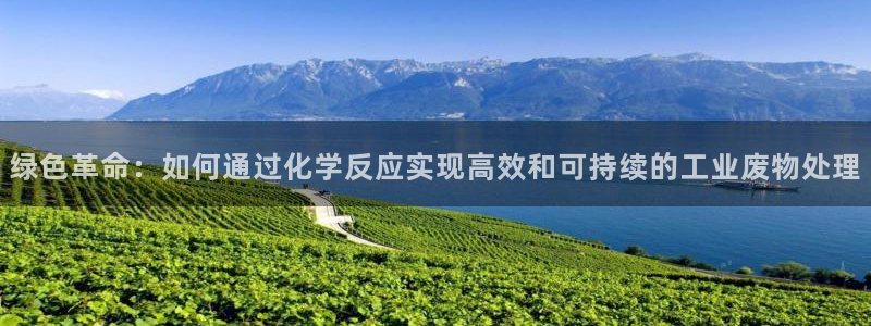 亿万下载徐家汇朋友圈说说：绿色革命：如何通过化学反应实现高效和可持续的工业废物处理